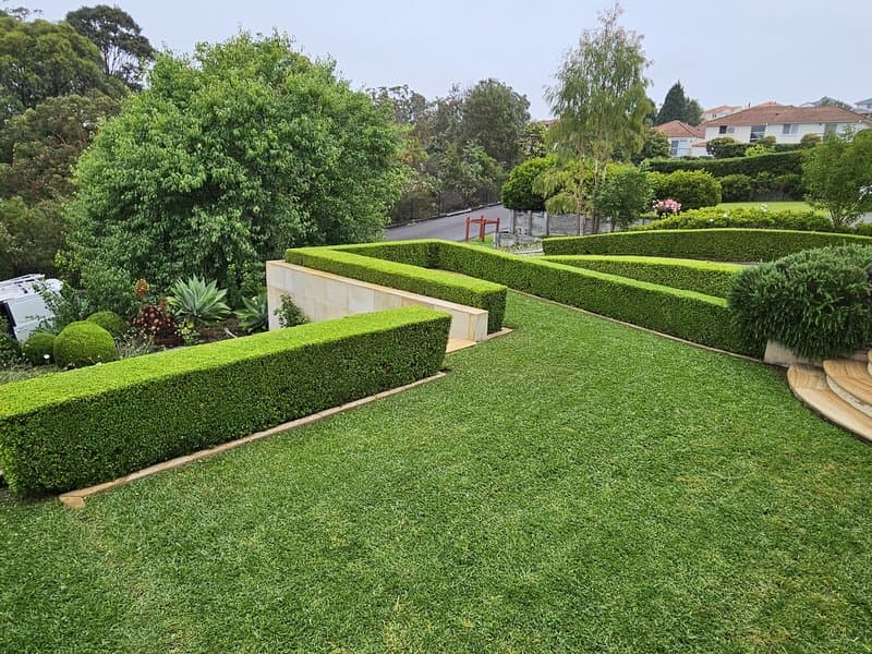Terraced garden with precision-cut box hedges and manicured lawn