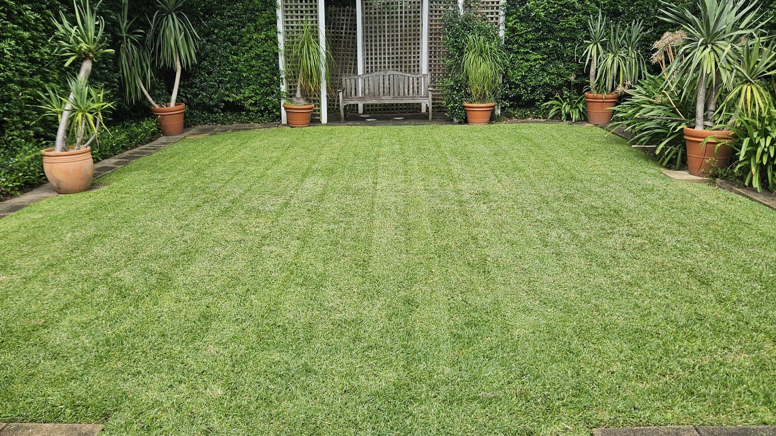 Lawn mowing Northern Beaches, perfectly striped lawn with lush hedges in a private garden